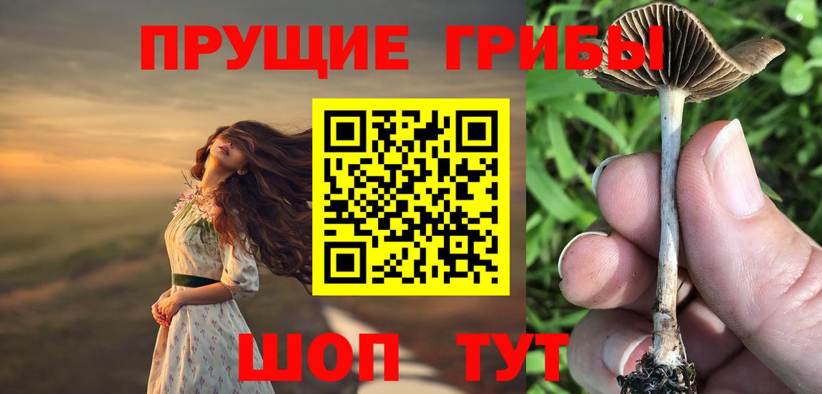 Галлюциногенные грибы GOLDEN TEACHER Бахчисарай