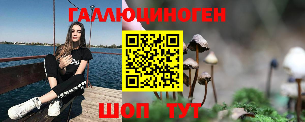 Псилоцибиновые грибы Magic Shrooms  продажа наркотиков  Бахчисарай  Псилоцибиновые грибы Magic Shrooms  Вход с VPN 